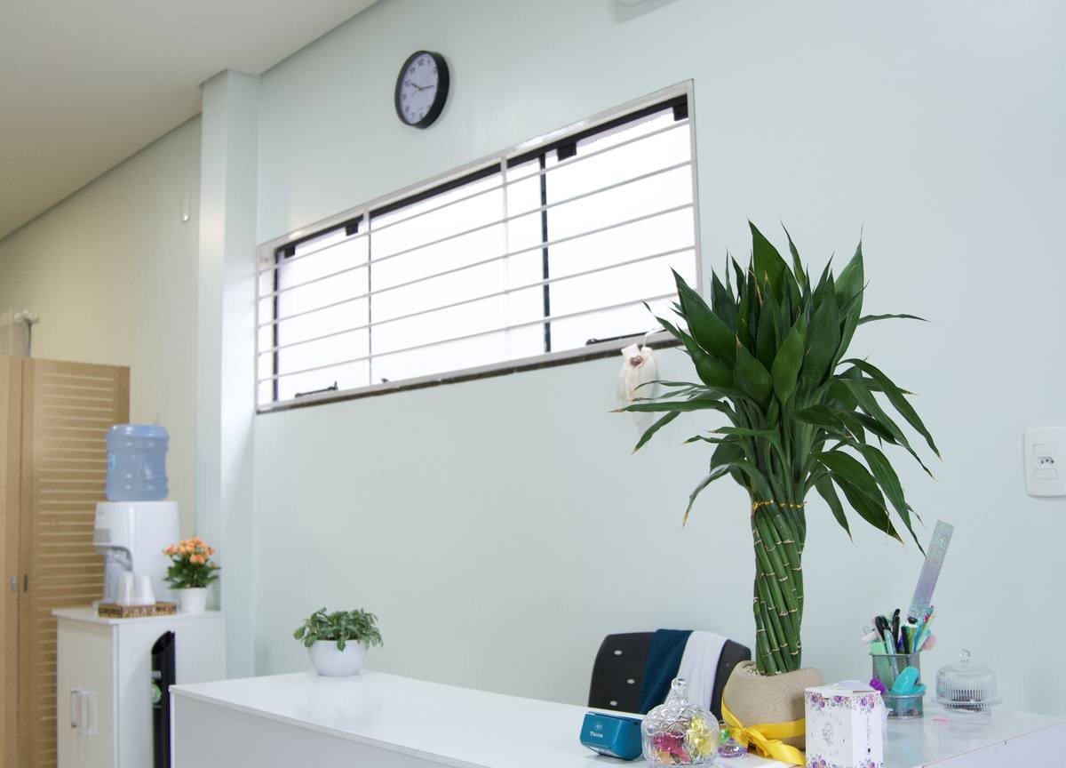 Recepção com mesa de atendimento e plantas